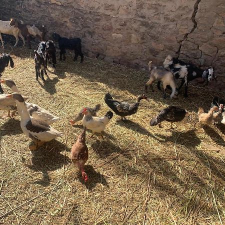 Nubian Farm Aswanヴィラ エクステリア 写真