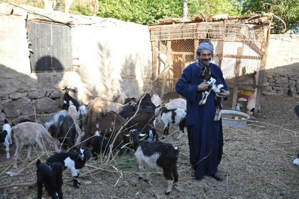 Nubian Farm Aswanヴィラ エクステリア 写真