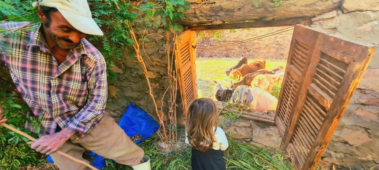 Nubian Farm Aswanヴィラ エクステリア 写真