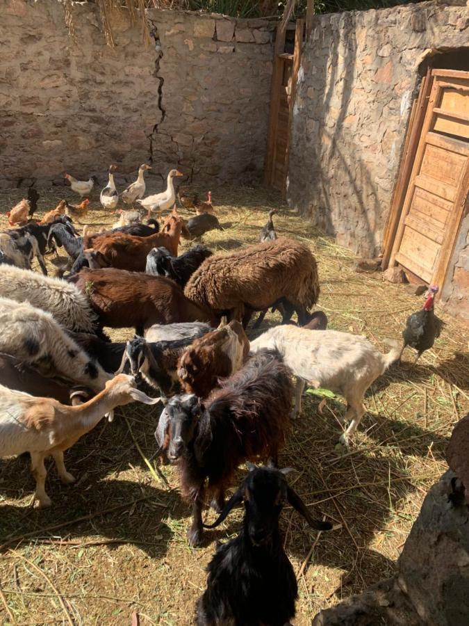 Nubian Farm Aswanヴィラ エクステリア 写真