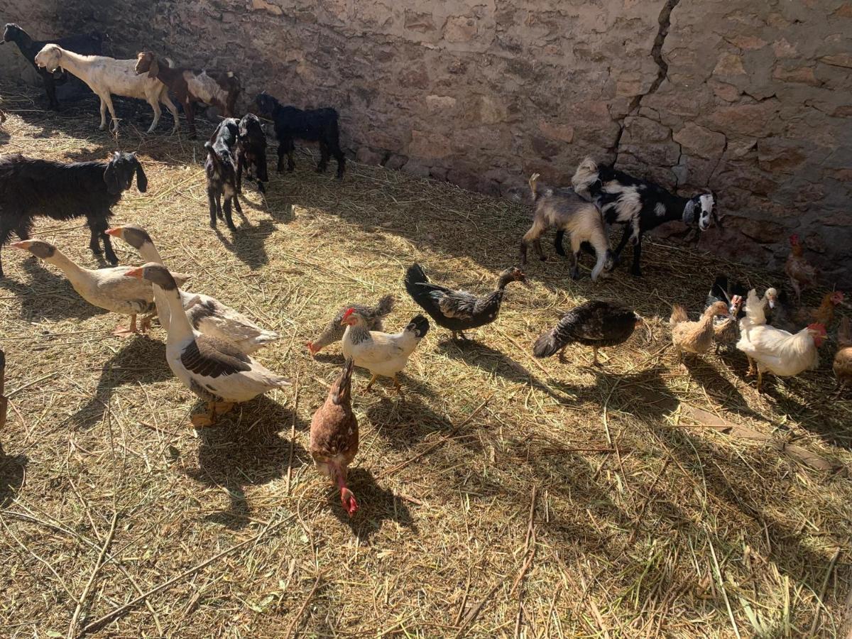 Nubian Farm Aswanヴィラ エクステリア 写真