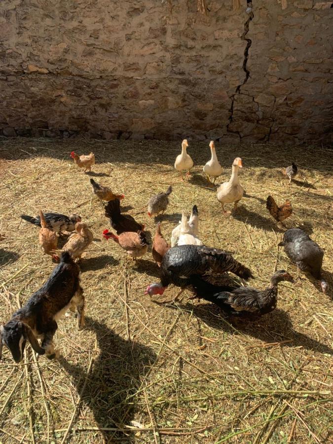 Nubian Farm Aswanヴィラ エクステリア 写真
