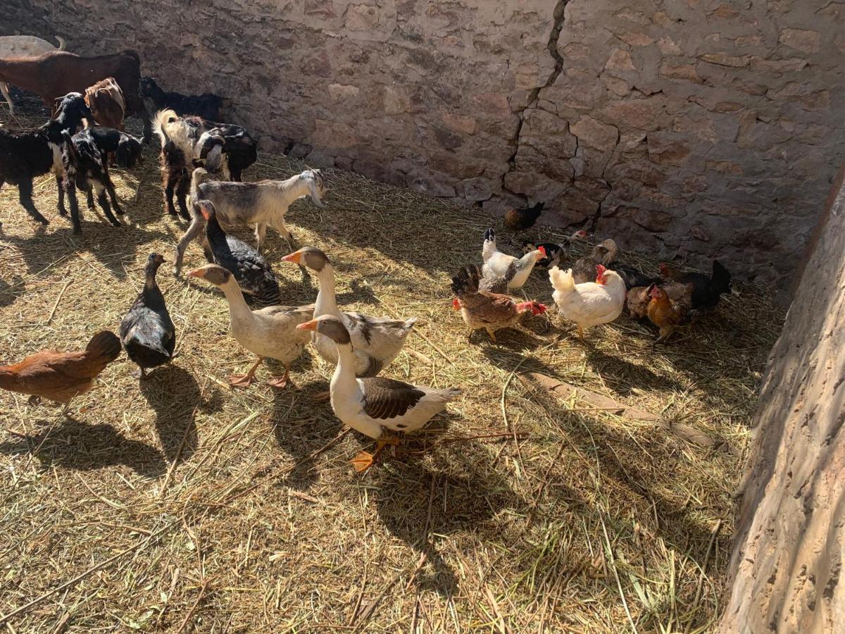 Nubian Farm Aswanヴィラ エクステリア 写真